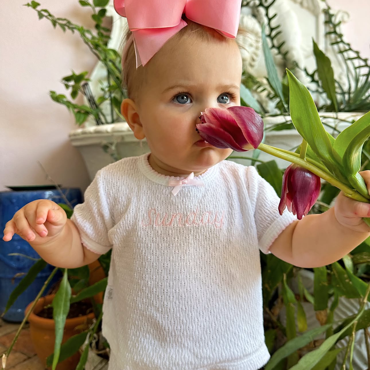 Paty Knit 2 pc Play Set with Shirt and Short with a Bow