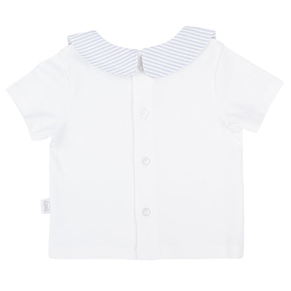 Paty Organic Cotton Baby Boy Set with Peter Pan Collar Shirt and Stripe Shorts